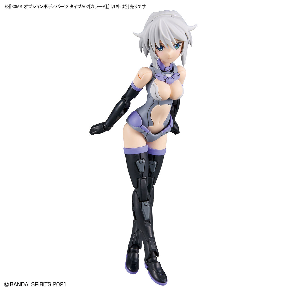 30MS Option Body Parts Type A02 (Color A)