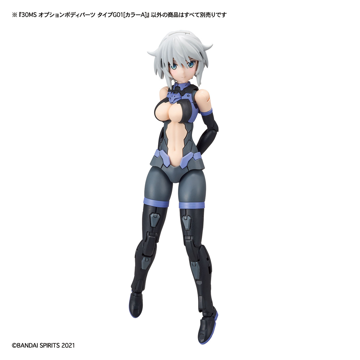 30MS Option Body Parts Type G01 (Color A)