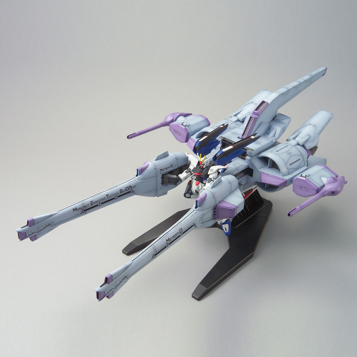 HGGS METEOR Unit + Freedom Gundam